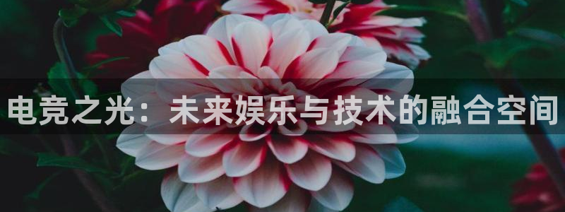 南宫电竞注册：电竞之光：未来娱乐与技术的融合空间