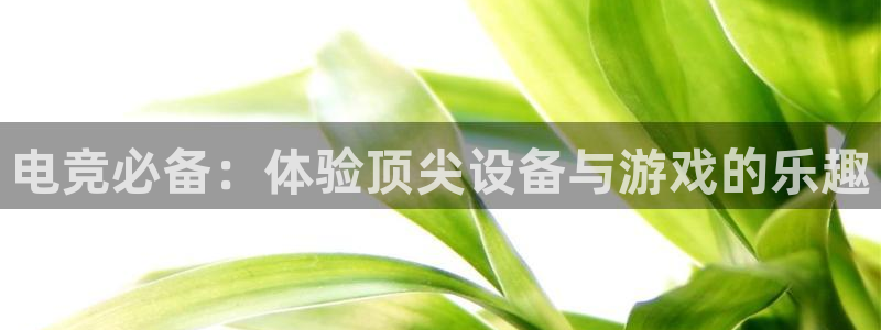 南宫电竞网：电竞必备：体验顶尖设备与游戏的乐趣
