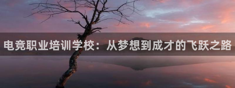 南宫电竞贴吧：电竞职业培训学校：从梦想到成才的飞跃之路