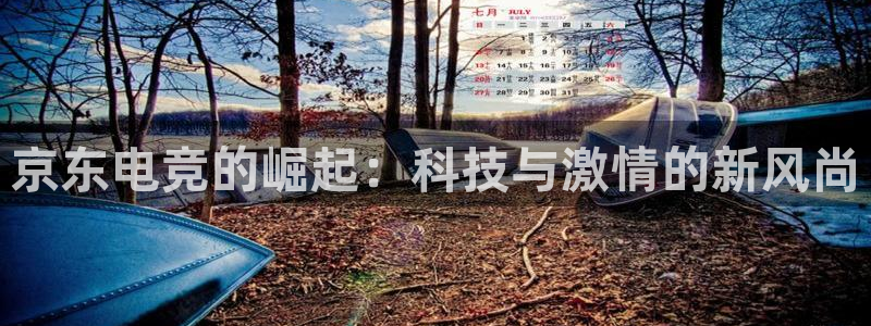 南宫电竞app：京东电竞的崛起：科技与激情的新风尚