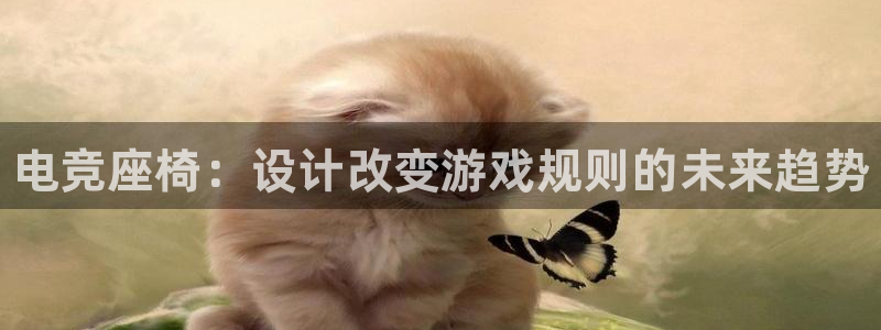 南宫电竞贴吧：电竞座椅：设计改变游戏规则的未来趋势