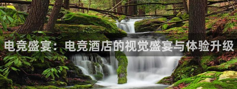 南宫电竞官网：电竞盛宴：电竞酒店的视觉盛宴与体验升级