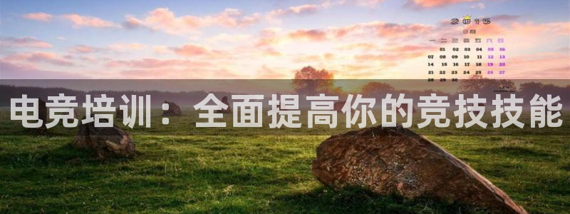 南宫电竞贴吧：电竞培训：全面提高你的竞技技能
