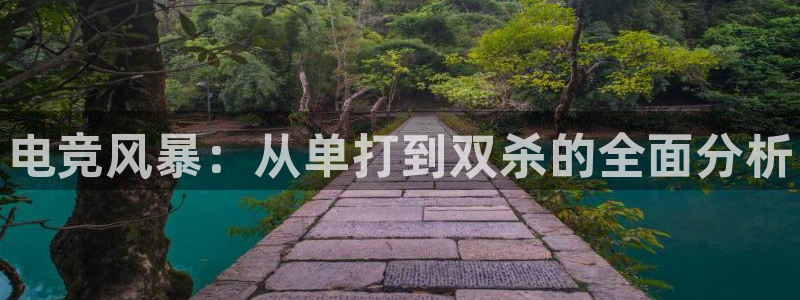 南宫电竞平台：电竞风暴：从单打到双杀的全面分析