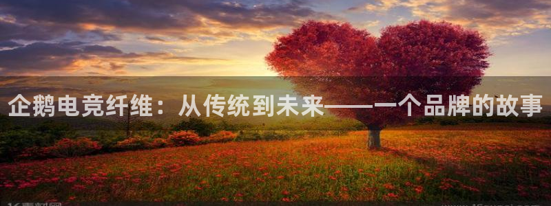 南宫电竞app：企鹅电竞纤维：从传统到未来——一个品牌的故事