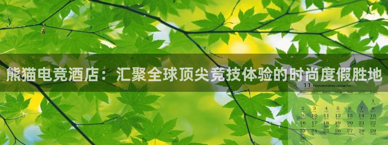 南宫电竞平台：熊猫电竞酒店：汇聚全球顶尖竞技体验的时尚度假胜地