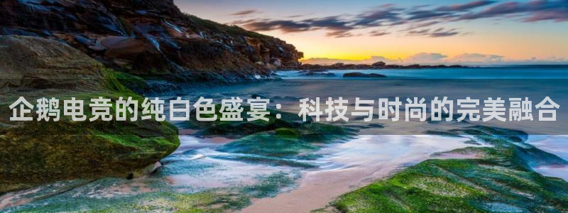 南宫电竞贴吧：企鹅电竞的纯白色盛宴：科技与时尚的完美融合