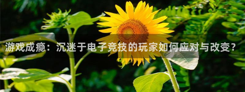 南宫电竞注册：游戏成瘾：沉迷于电子竞技的玩家如何应对与改变？