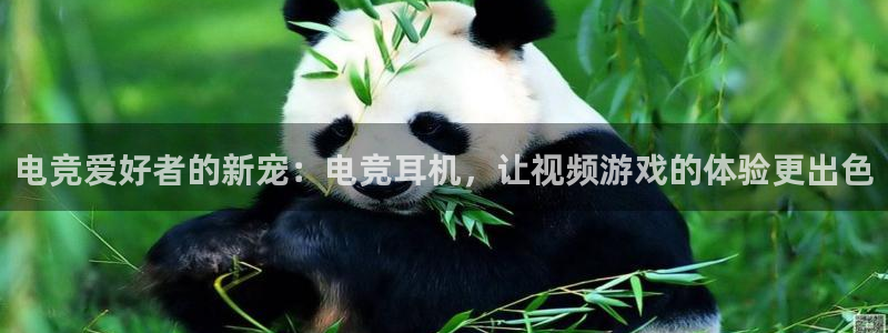 南宫电竞网：电竞爱好者的新宠：电竞耳机，让视频游戏的体验更出色