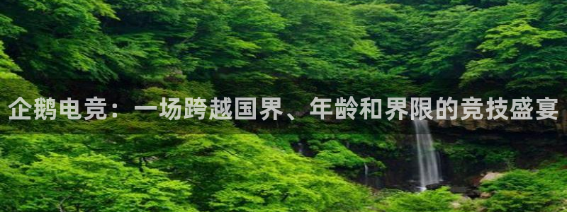 南宫电竞：企鹅电竞：一场跨越国界、年龄和界限的竞技盛宴