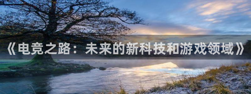 南宫电竞网：《电竞之路：未来的新科技和游戏领域》
