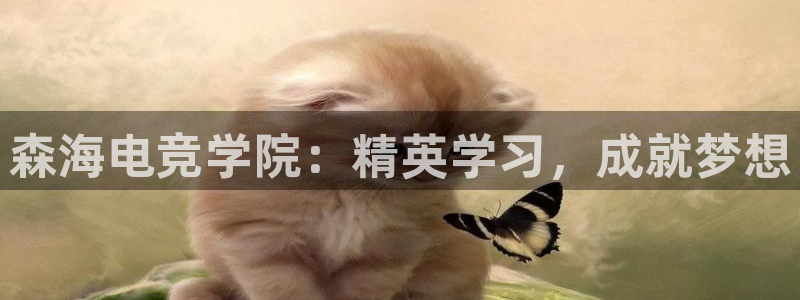 南宫电竞登陆：森海电竞学院：精英学习，成就梦想