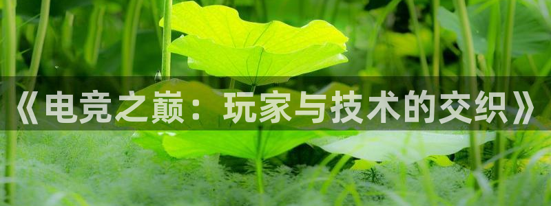 南宫电竞app：《电竞之巅：玩家与技术的交织》