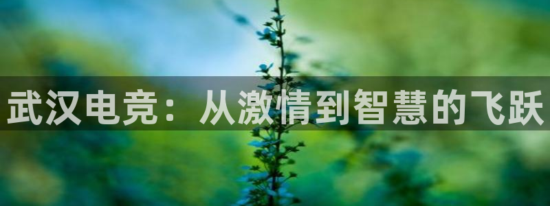 南宫电竞官网：武汉电竞：从激情到智慧的飞跃