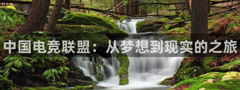 南宫电竞网：中国电竞联盟：从梦想到现实的之旅