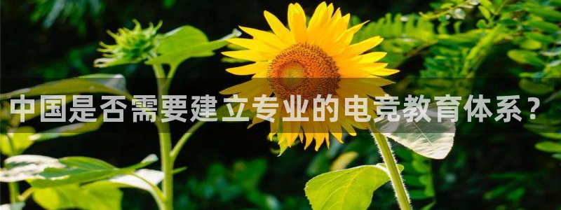 南宫电竞：中国是否需要建立专业的电竞教育体系？