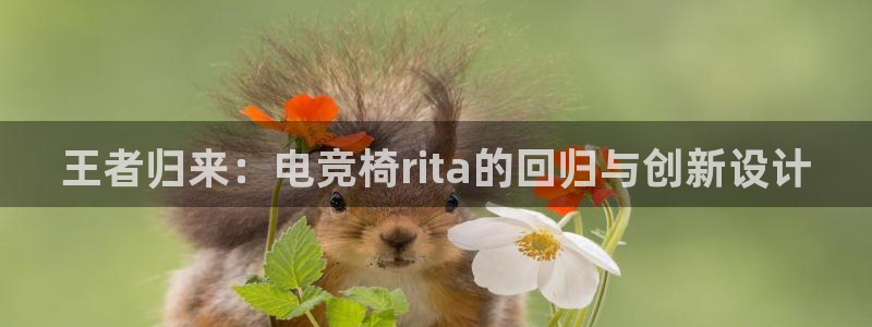 南宫电竞：王者归来：电竞椅rita的回归与创新设计