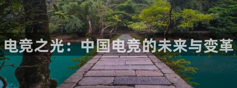 南宫电竞：电竞之光：中国电竞的未来与变革