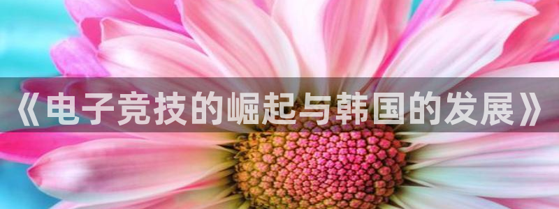 南宫电竞网：《电子竞技的崛起与韩国的发展》